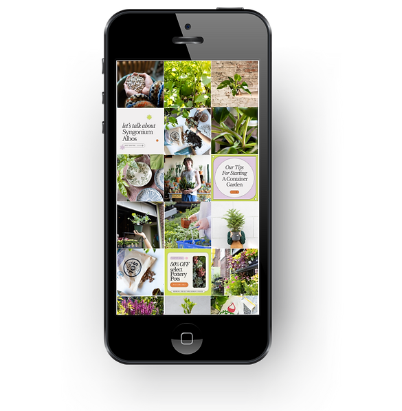 Aesthetic Phone Mockup Instagram Post.png