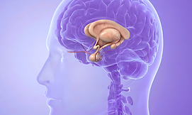 Untitled design (3).png