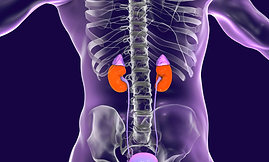 Untitled design (2).png