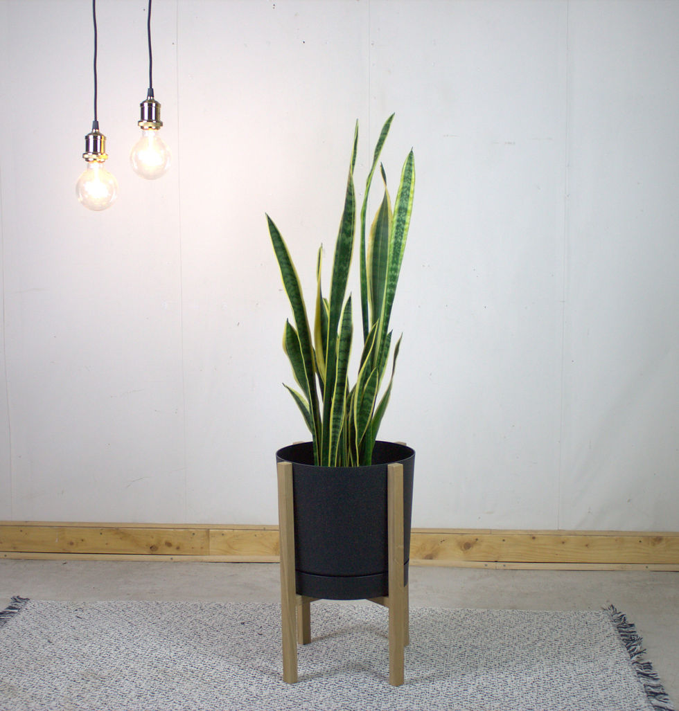 Miniaturbild: Pflanzenständer Plant