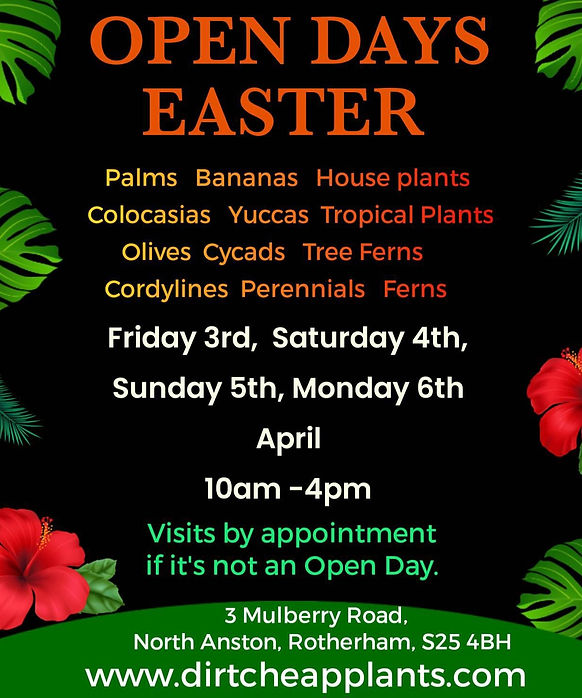 WhatsApp Image 2026-03-30 at 07.34.01.jpeg