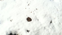 Snow Study Part 1