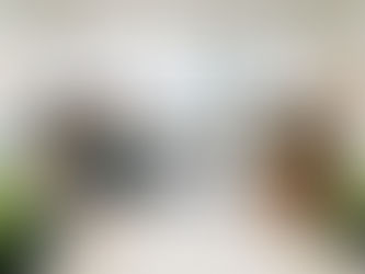 商業全球化下的企業設立與財務合規分析