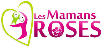 Présentation du résultat du projet à l'association Les Mamans Roses