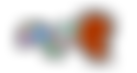 Soutenance du projet tutoré.