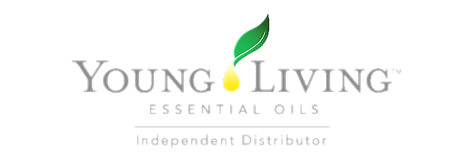YL logo