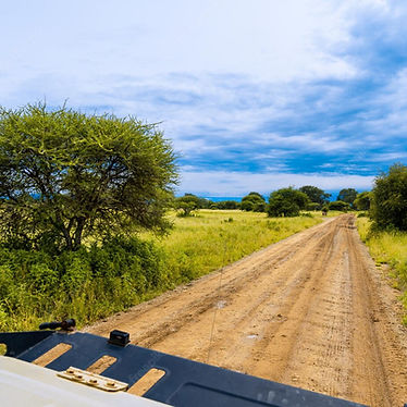 green-trees-africa-after-rainy-season-african-landscape-from-safari-jeep_536604-1058.jpeg