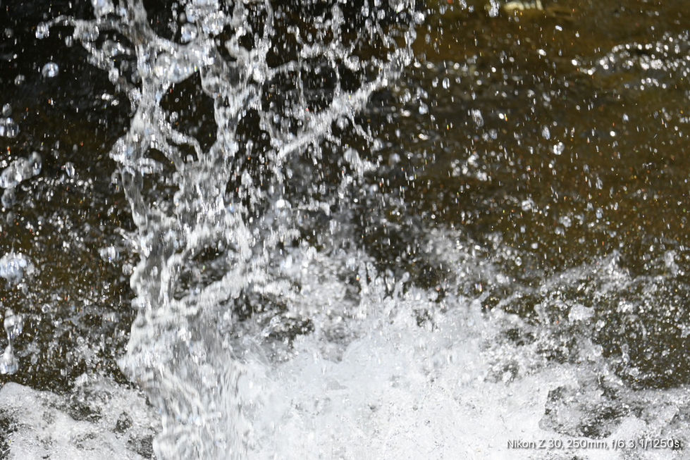 S__50724873_0.jpg