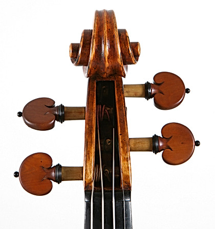 voluta del violín