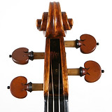 Violin Scroll