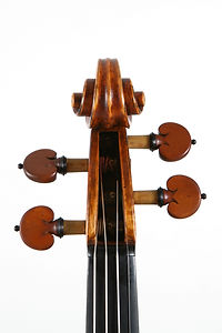 Violin Scroll
