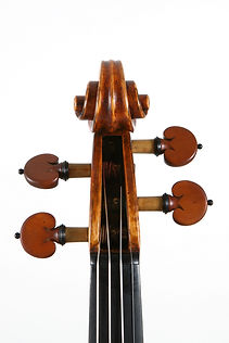 Violin Scroll