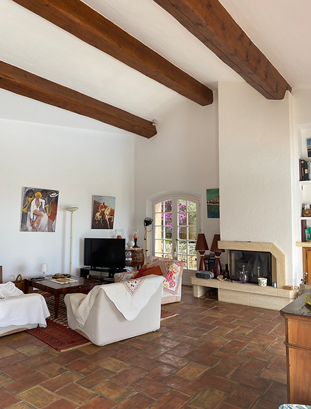 SALON ET CHEMINEE AVANT.HEIC