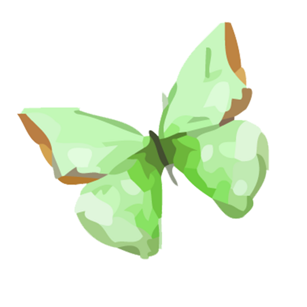 Green butterfly design