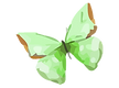 Acuarela de la mariposa 2