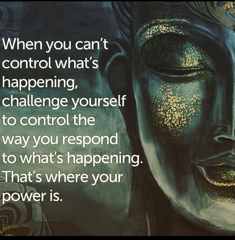 💫💭💫Food for Thought 💭 💫💭 content media