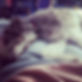 17899704665385158.webp