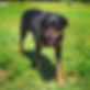 17860997069771097.webp