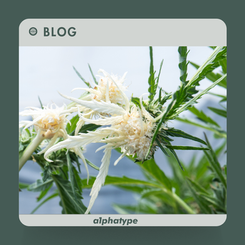 Blog: The Science Of Phenotype Hunting