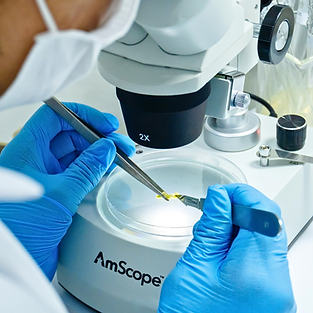 Pictures brand (17).png