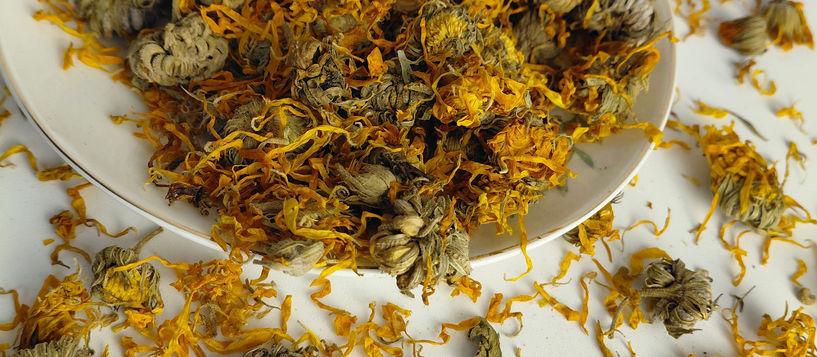 Calendula: Nature's Golden Herb for Everyday Wellness