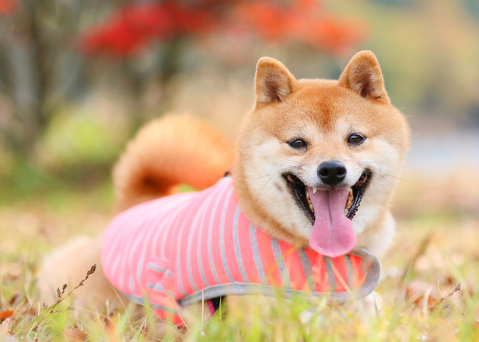 О様宅の