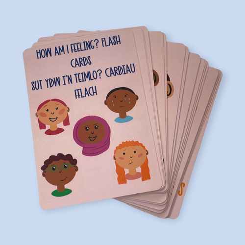 How am I feeling? A6 bilingual (English & Welsh) flash cards TeaKind