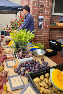 PHOTO-2025-04-15-07-23-21