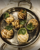 Screenshot 2023-01-29 213504.png