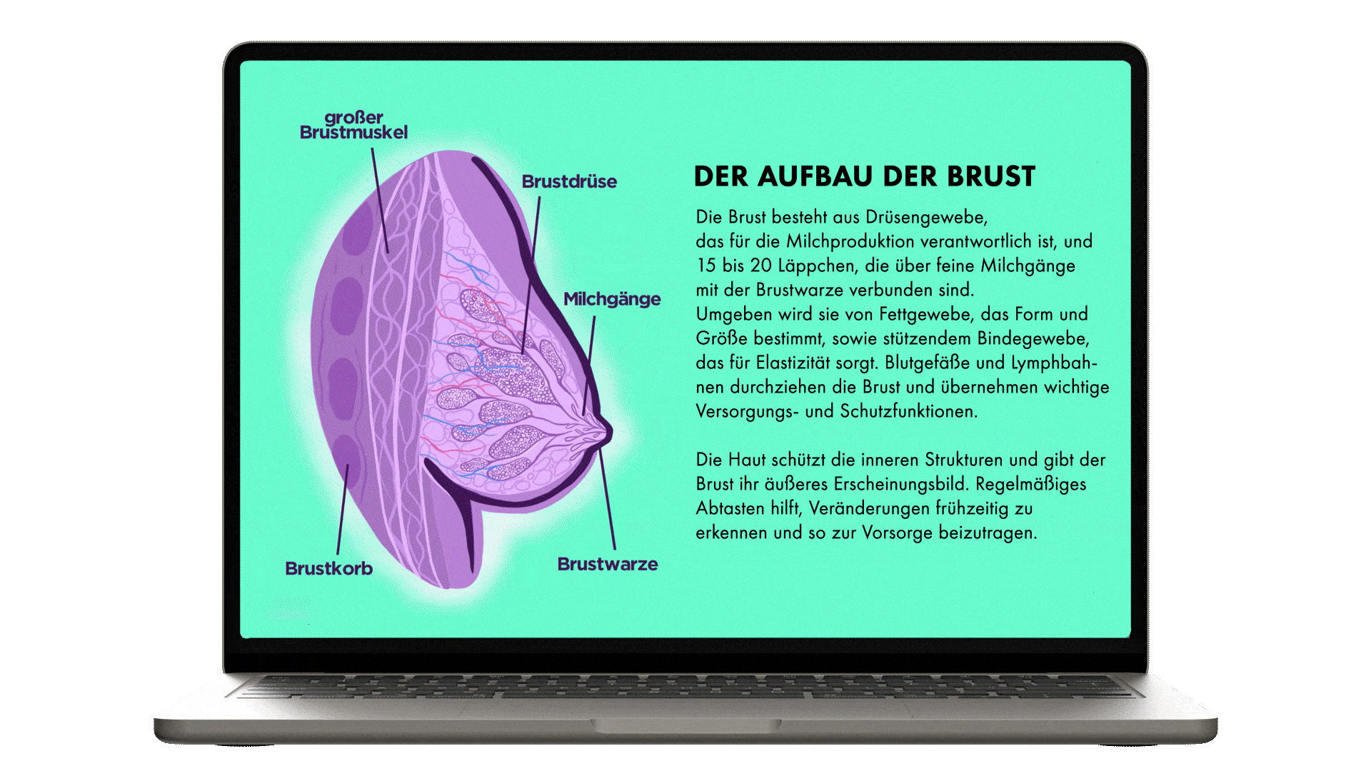 Mockup brust laptop_klein.gif