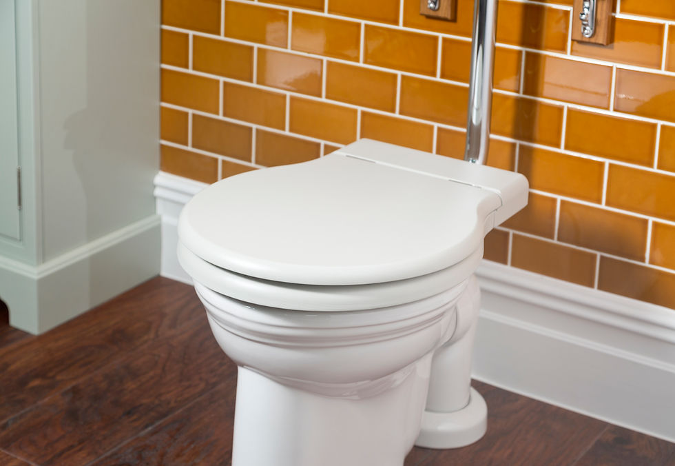 Thumbnail: Thomas Crapper Essentia Plastic Toilet Seat (Soft Close)