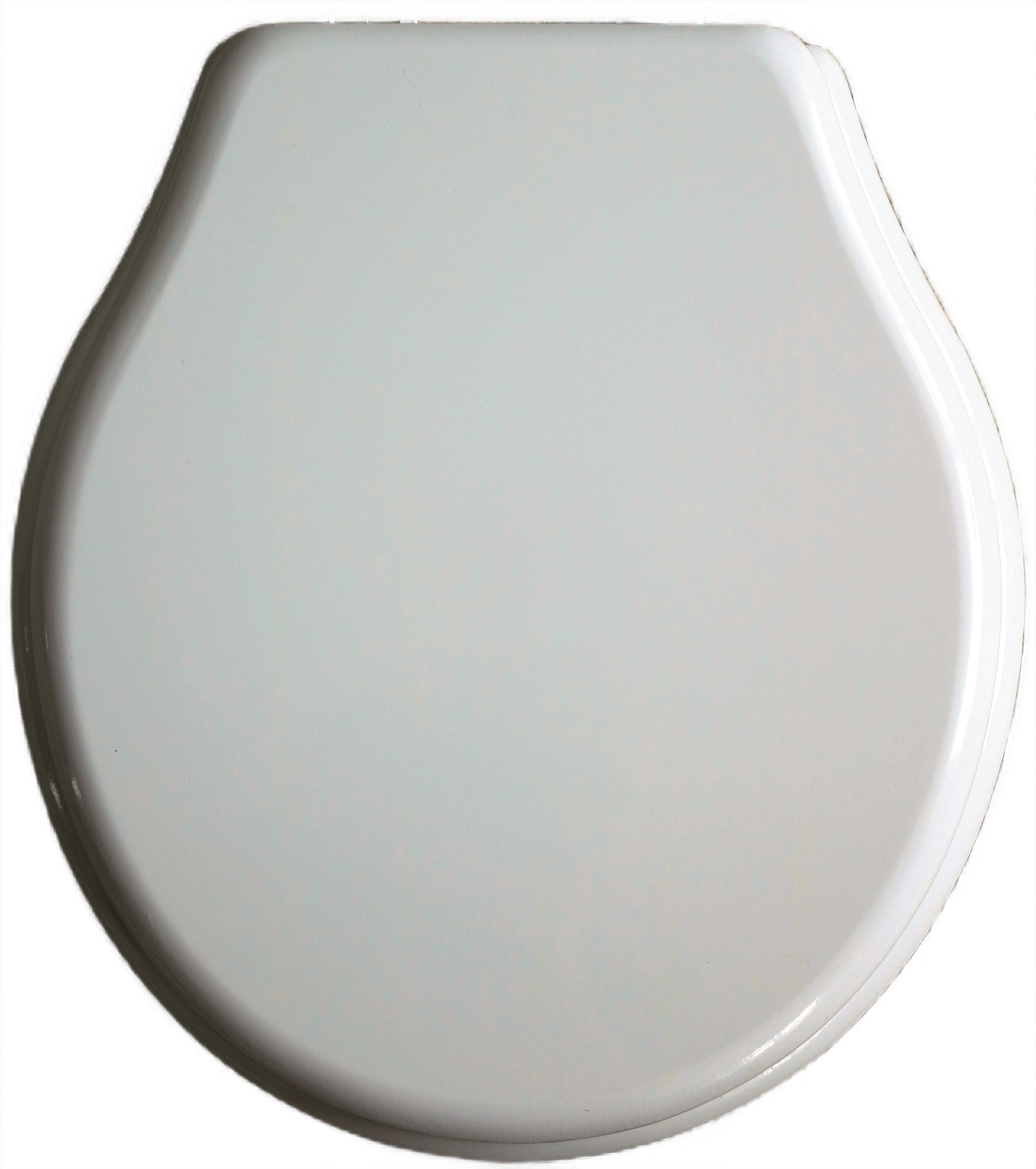 Neo-Classica Resin Replica Seat, cover and metal hinges