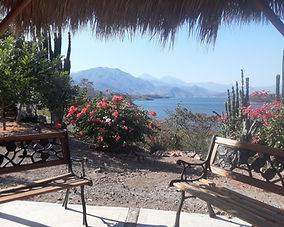 Lake view from the Fishin Mission property
