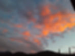 20201214_062616.jpg