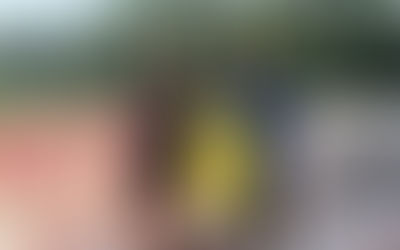 PER LA DIFESA DEL CHIEVO ARRIVA FRANCESCA CARLESCHI