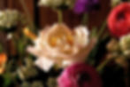Peonies - a fan favorite
