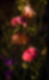 A8ACBCA8-022E-4115-B05A-B837B3374F64.jpeg