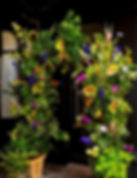 A lush, gorgeous arch made at the Judith Blacklock Flower School