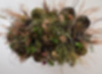 Made with varying dried and a few fresh flowers, with stormy weather in mind