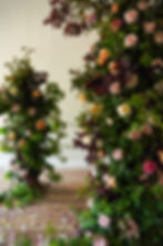 Rose Arch, made entirely by local british roses