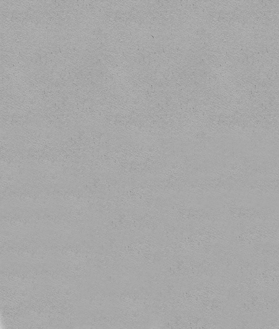 Fundo sem Assinatura - Site Renato.png