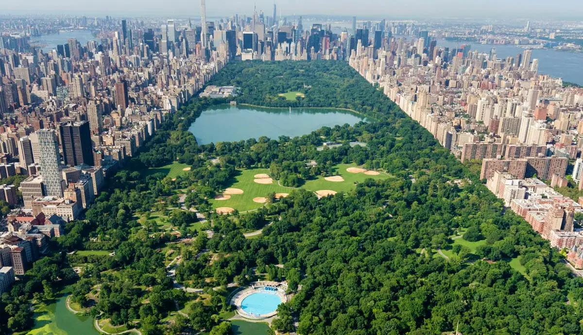 centralpark.webp