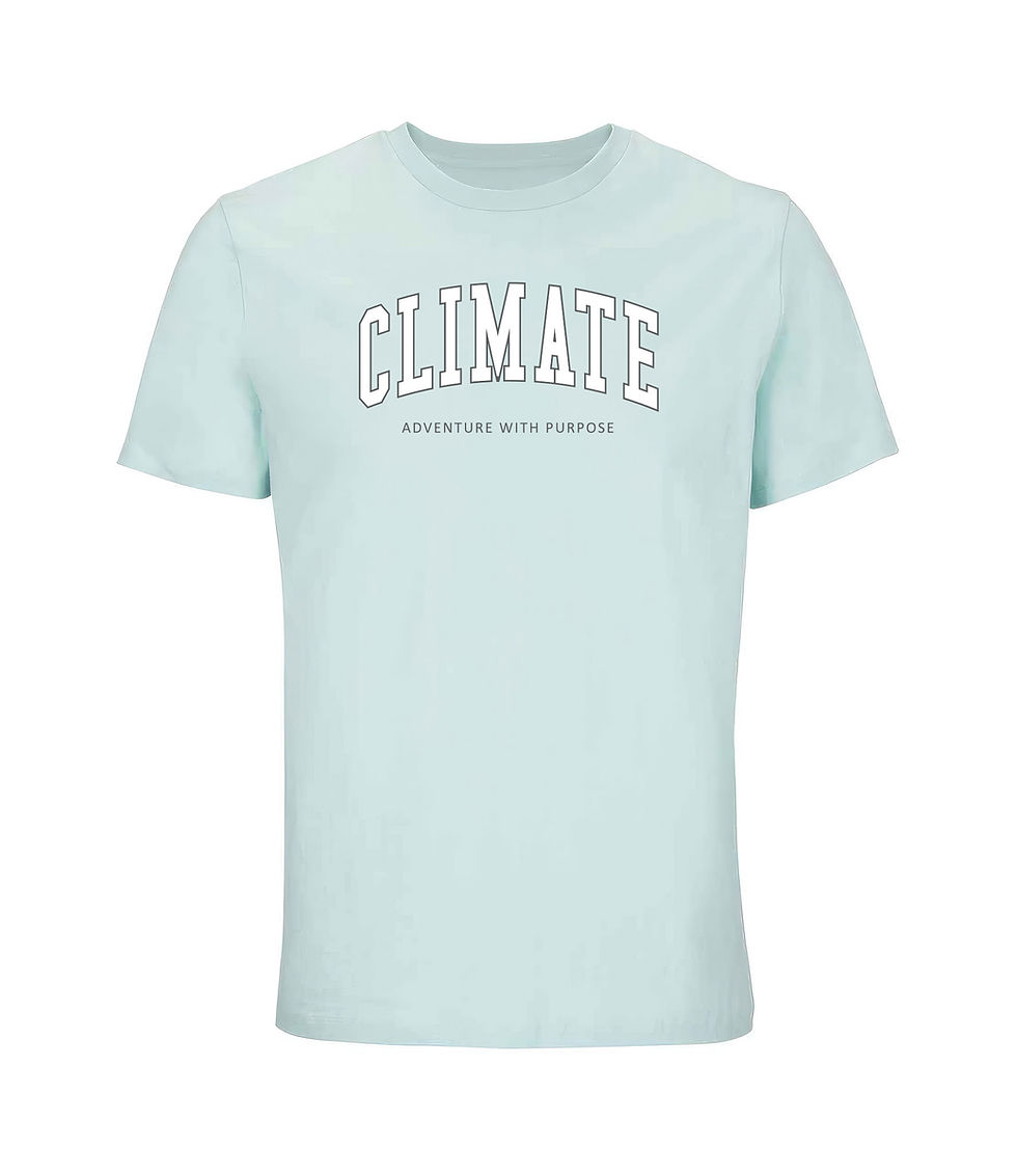 Thumbnail: ARCTIC BLUE TEE  |  THE VARSITY II  |  NEUTRAL