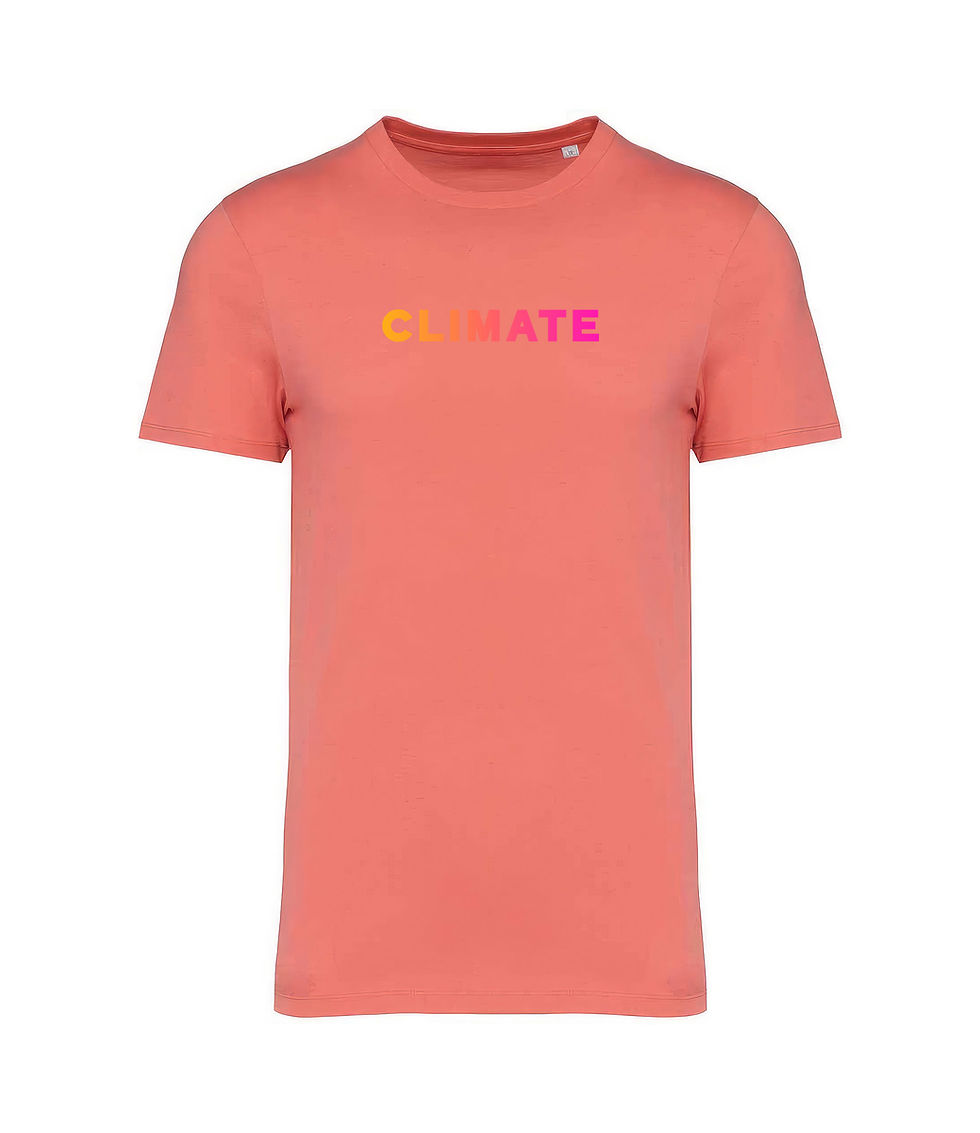 Thumbnail: CORAL TEE  |  THE STATEMENT  |  VIBRANT