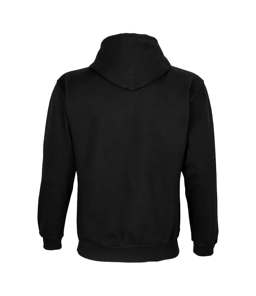 Thumbnail: Spider | Black Hoodie