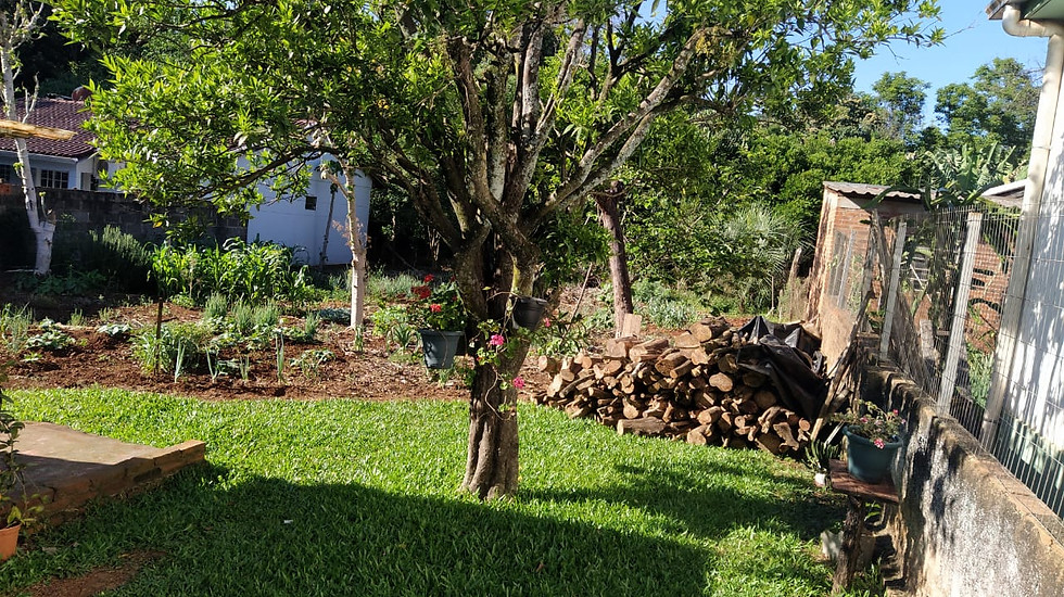 Miniatura: (CÓD.: 19.23) Terreno com casa de madeira - Três de Maio