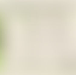 The "1764 Barrier": A Breakthrough in the Clinton Lineage