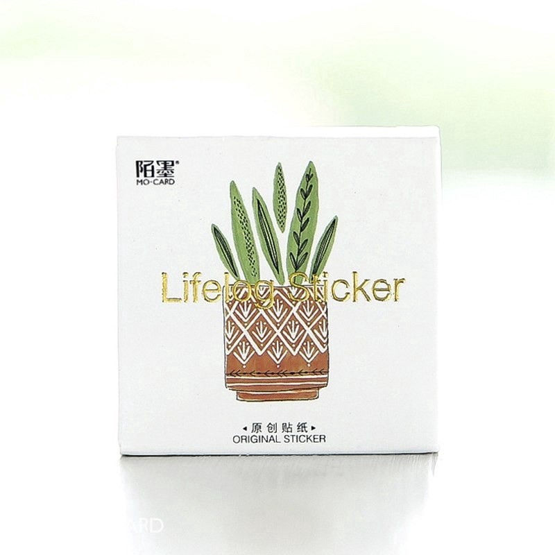 Miniatura: Cactus Maceta