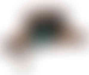 Platz für alles was Du brauchst!