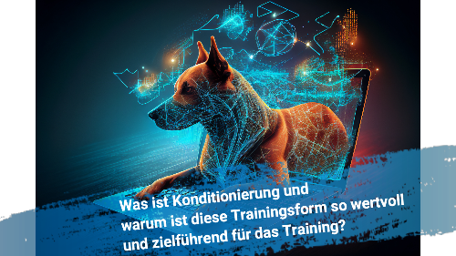 Miniaturbild: Kurs-Paket mit 29 Online-Kursen einmalig freischalten